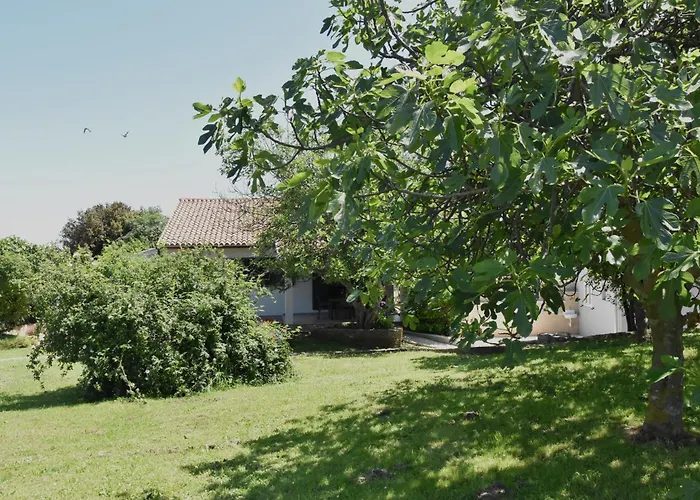 Holiday home Vacation